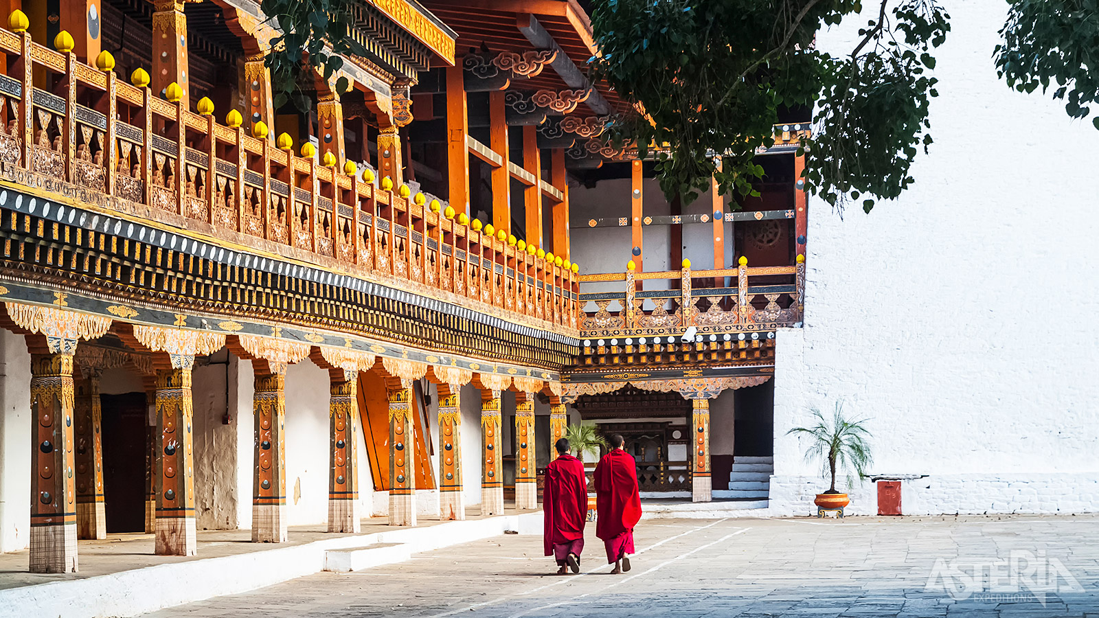 Ontdek de imposante architectuur, de eeuwige glimlach en de ingetogenheid van de monniken in de Punakha Dzong