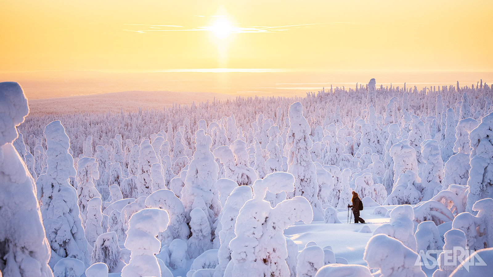 Met sneeuwschoenen door de prachtige Finse natuur