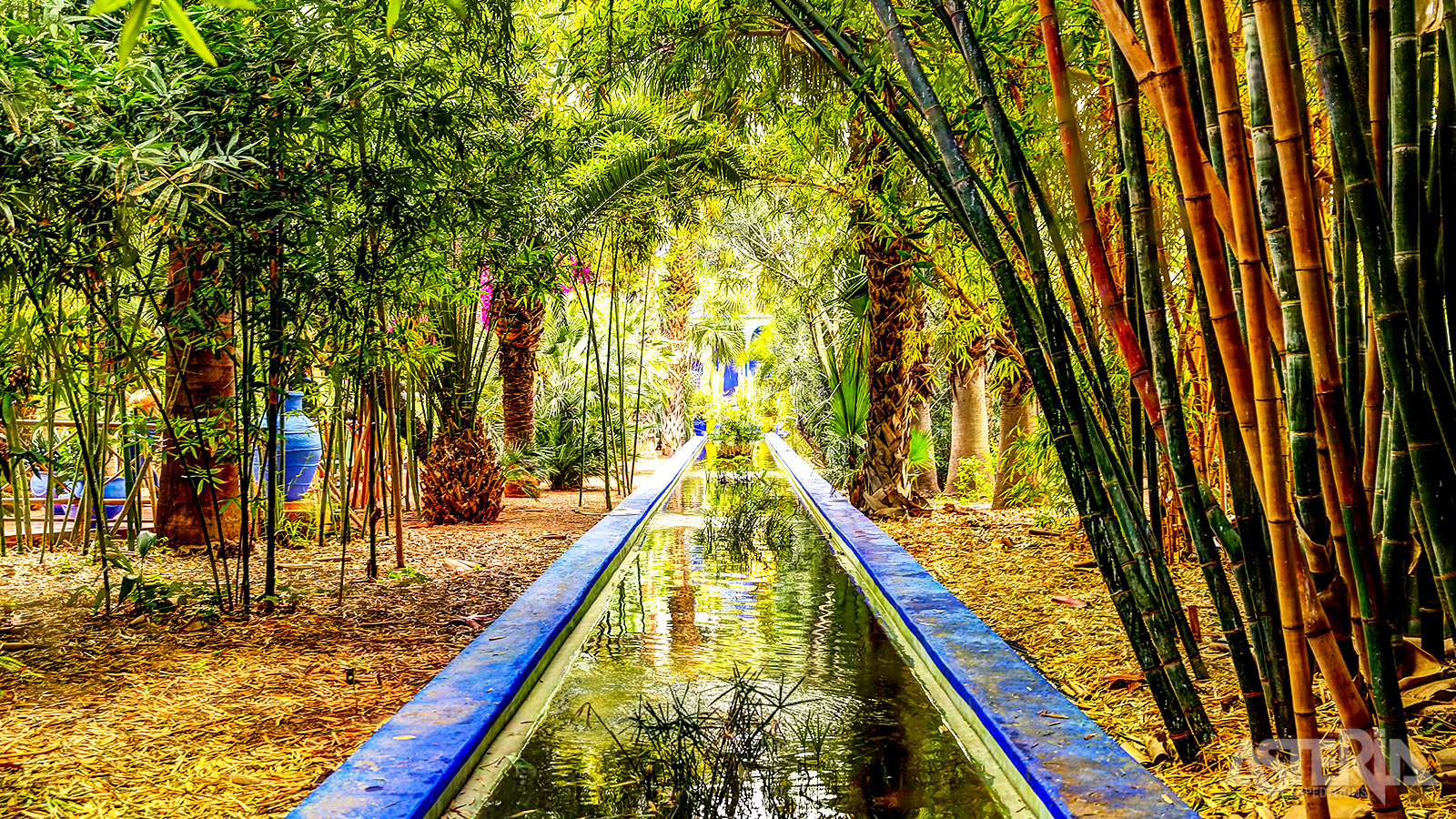 De tuin werd ontworpen door de Franse kunstenaar Jacques Majorelle in 1924, toen Marokko een protectoraat was van Frankrijk