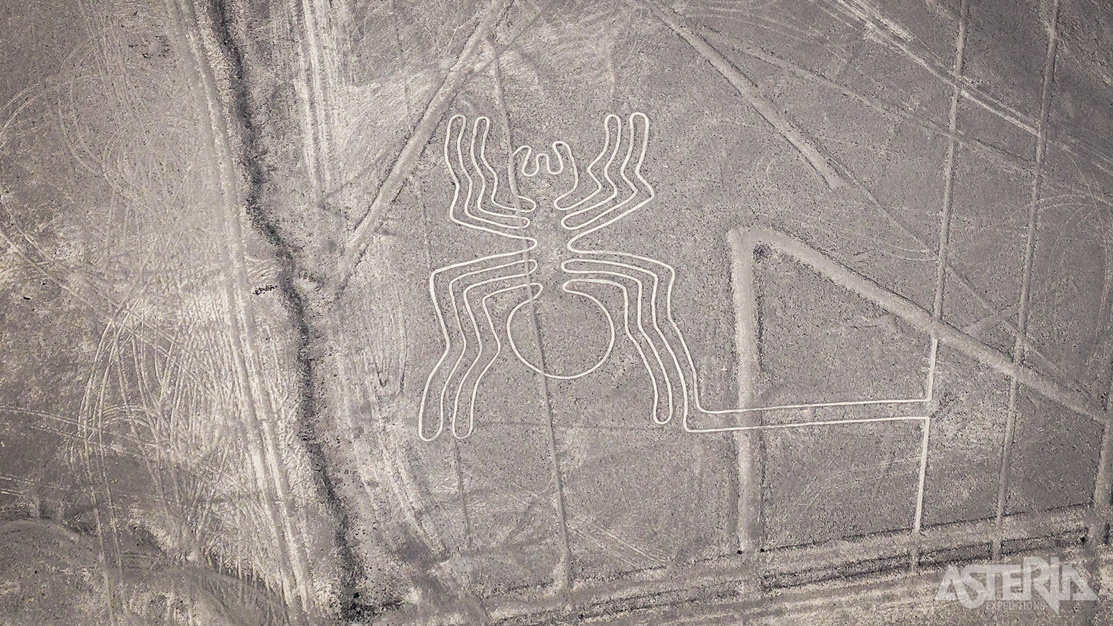 Tijdens een vlucht kan je de verschillende Nazca-afbeeldingen bekijken