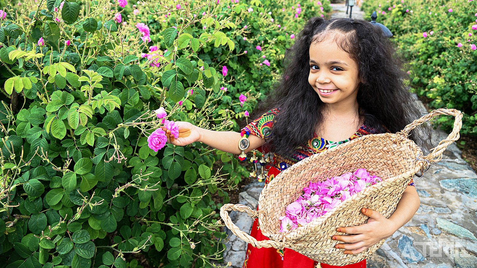 In Taif bezoek je een rozenfabriek waar de locals rozen verzamelen om er één van de beste rozenparfums ter wereld van te maken