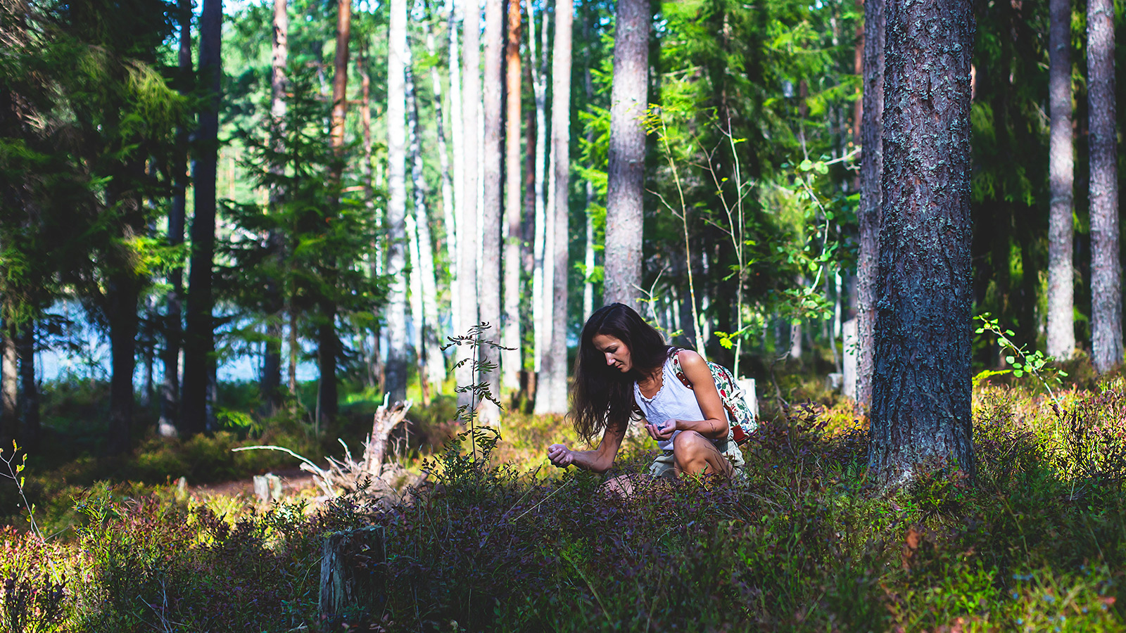 Of je nu in alle rust wilt genieten van de natuur of een actieve vakantie wilt beleven, Lapland biedt voor ieder wat wils