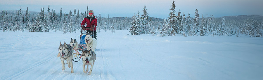 Best of Lapland - Harriniva Adventure Resort | 8 dagen