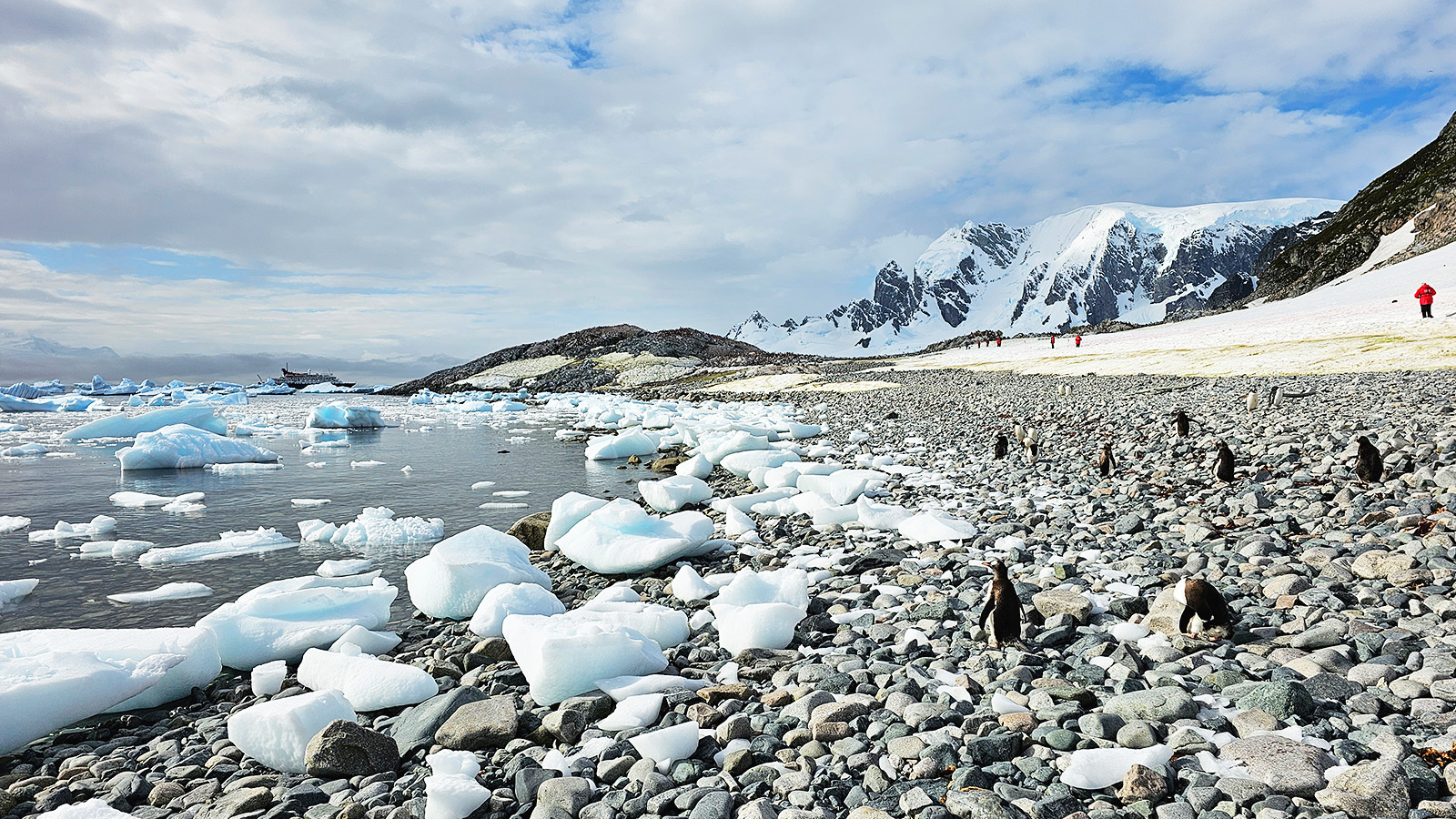 Cuverville-eiland is een klein, rotsachtig eiland voor de westkust van het Antarctisch Schiereiland
