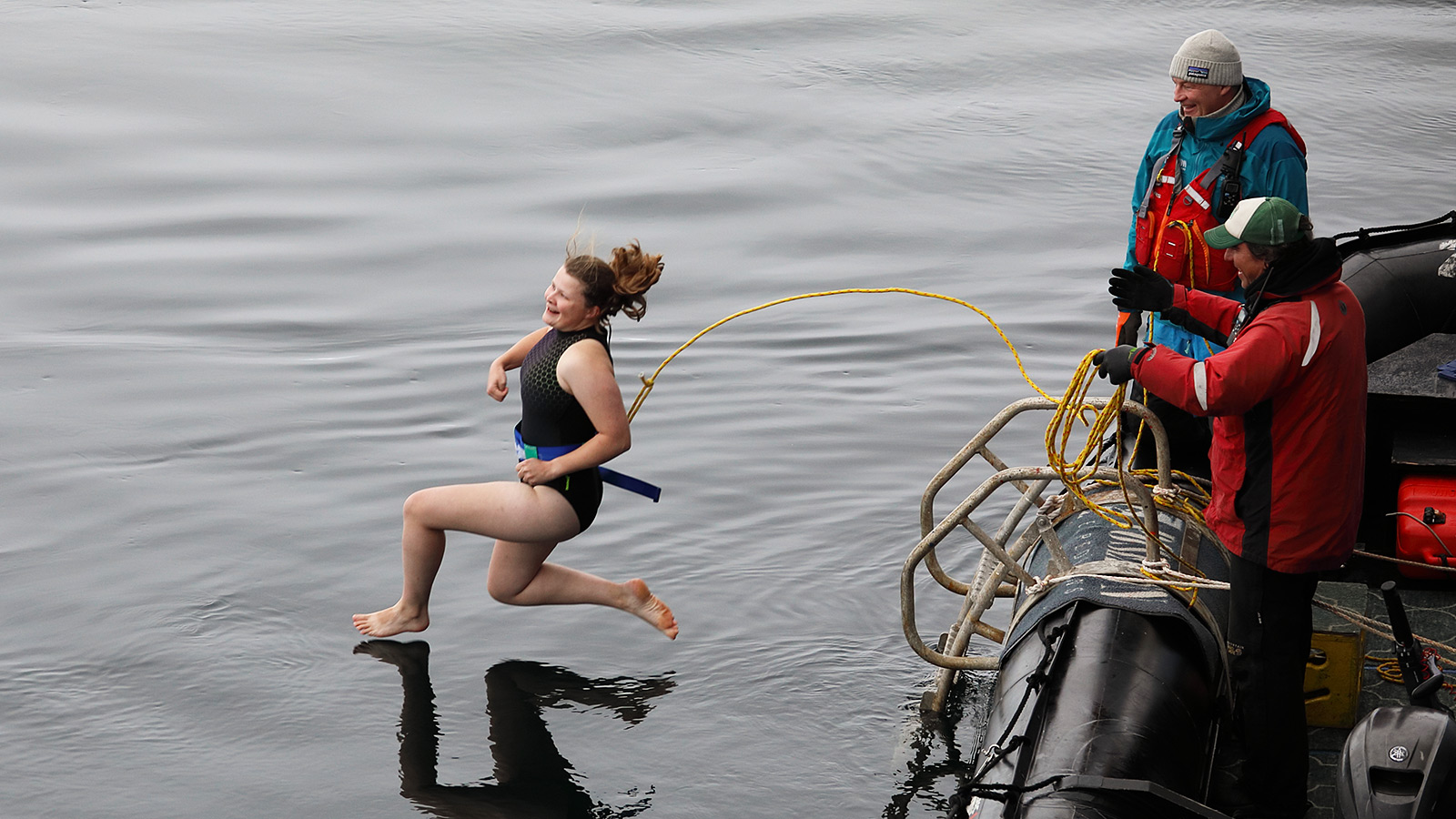 Twaalf ijsberen wagen zich aan de ‘polar plunge’