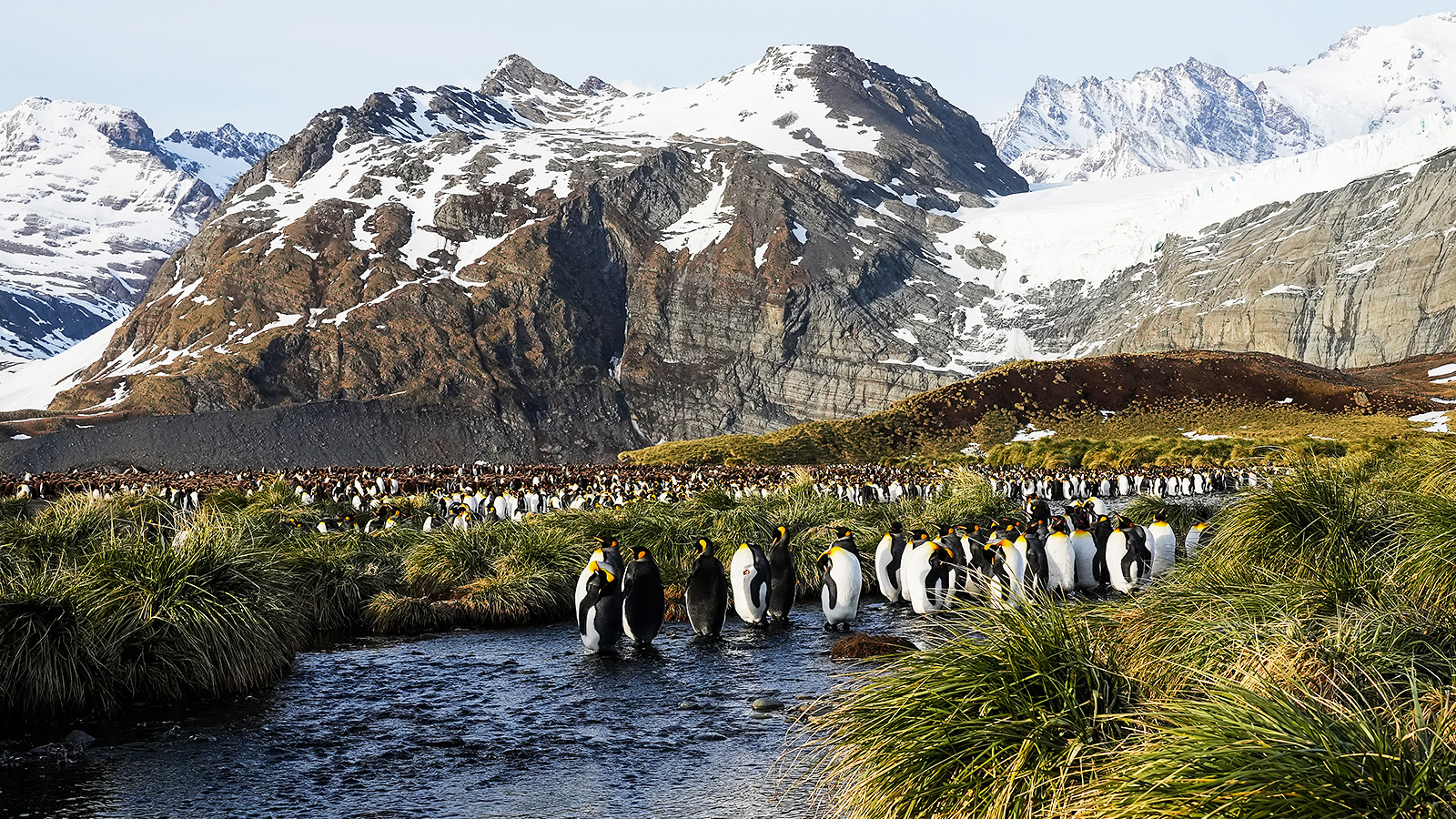 Van ijskappen tot pinguïns - jouw ultieme Antarctica-avontuur begint hier