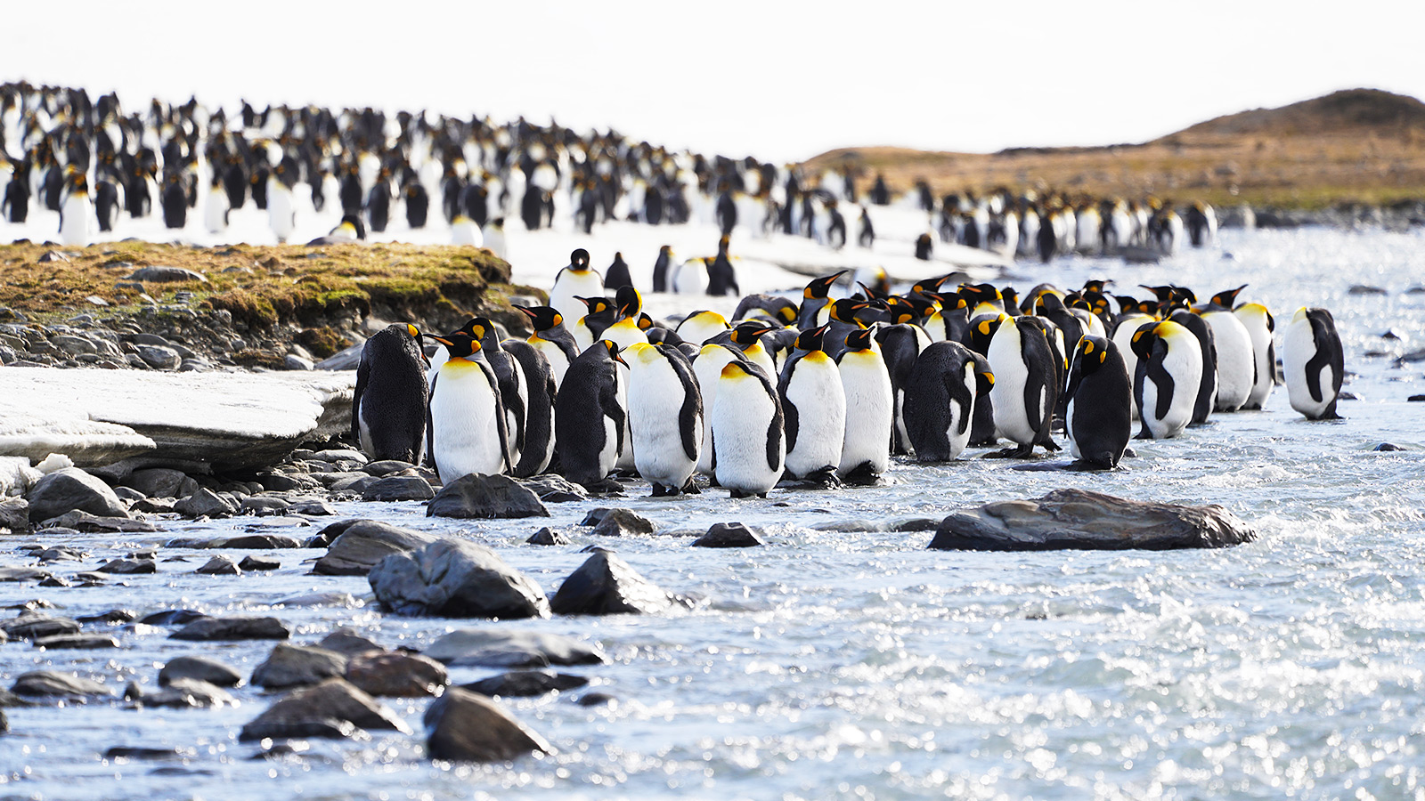 St. Andrews Bay: waar de natuur nog onaangetast regeert