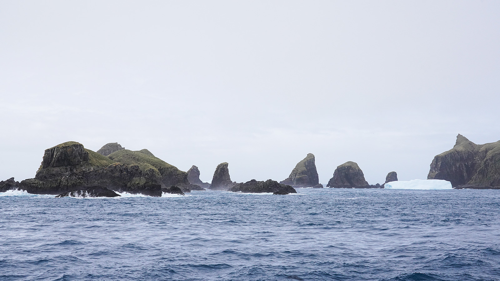 Geen Macaroni’s te bespeuren bij de Willis-eilanden, albatrossen echter …