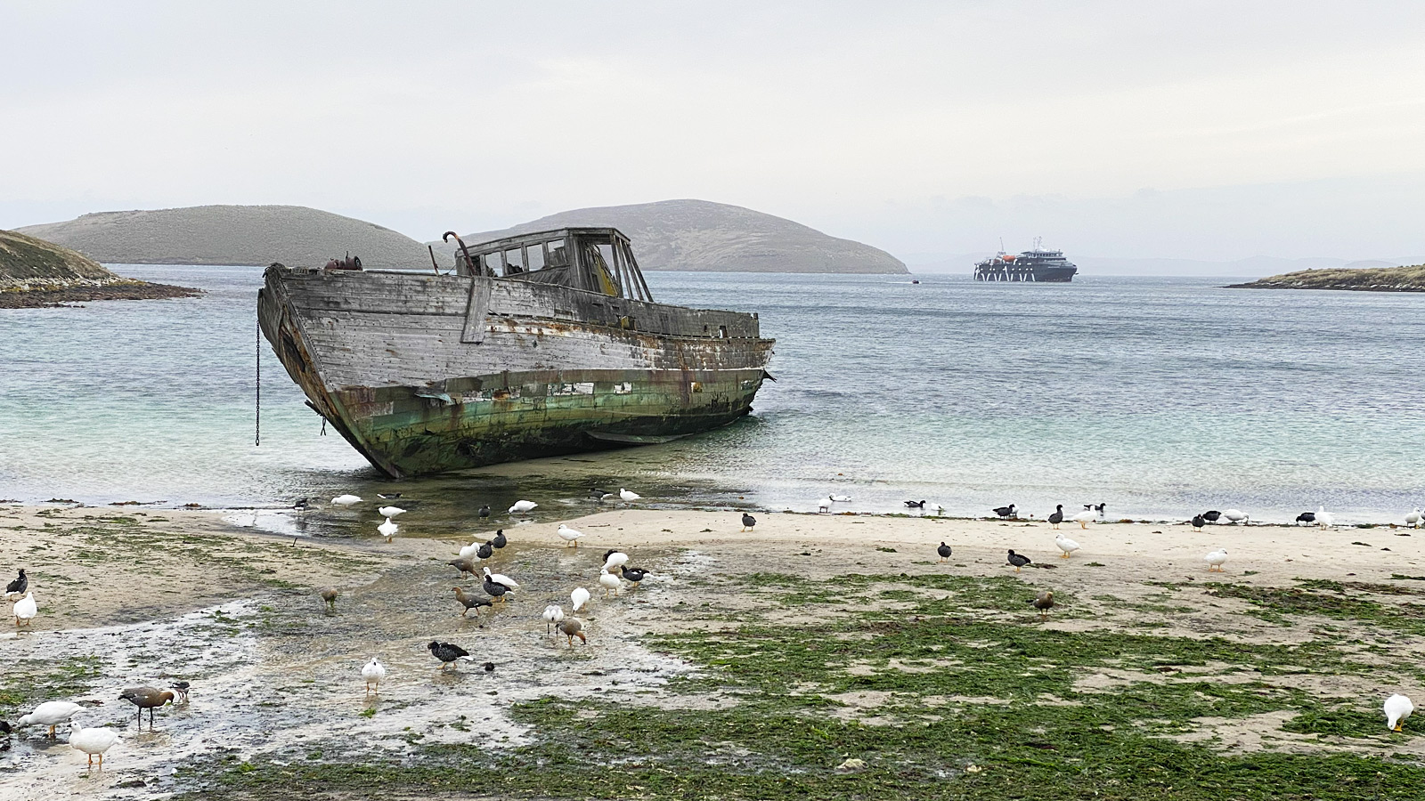 Het wrak van de ‘Protector III’, ooit gebouwd als mijnenveger