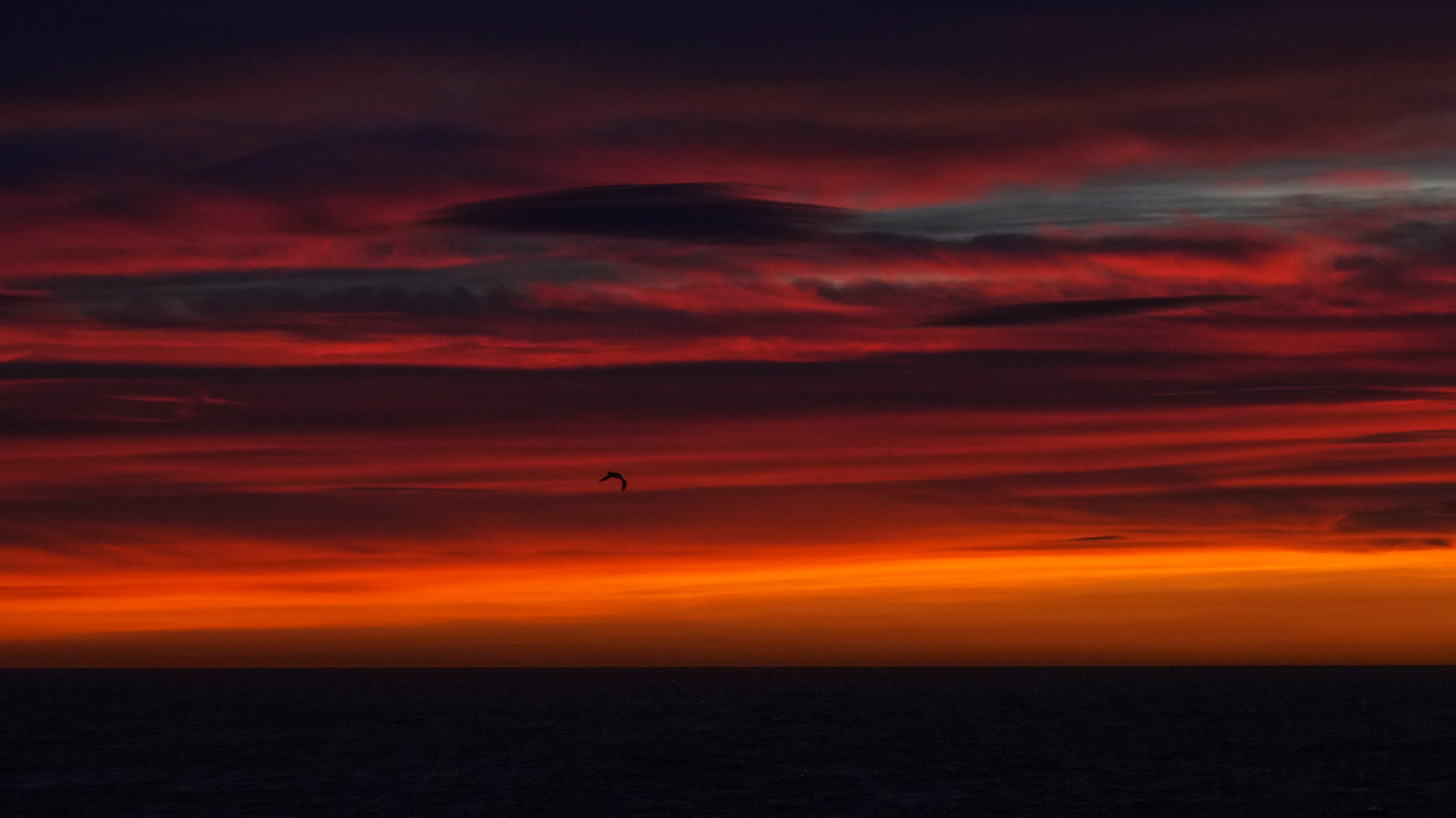 Een zonopgang die in de top drie van fotograaf Misjel staat