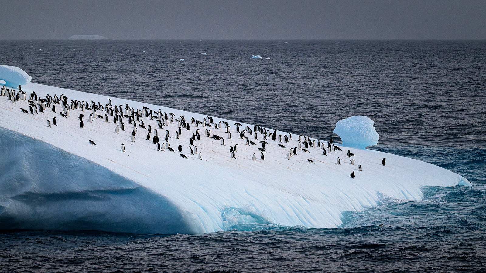 Winnende foto in de categorie landschappen: Jos