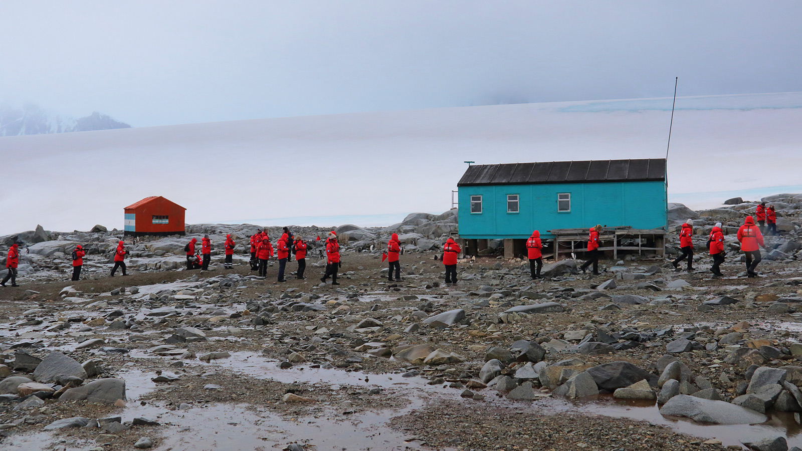 De appelblauwzeegroene hut van Damoy Point moest eigenlijk op Doumer Eiland staan