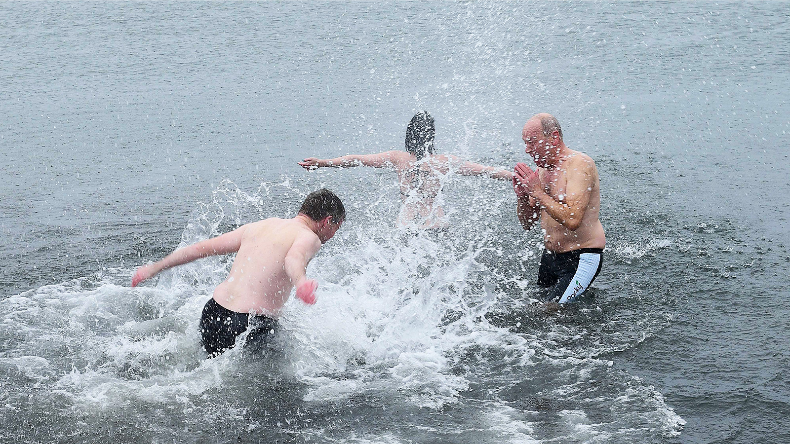 IJsberen op de Zuidpool