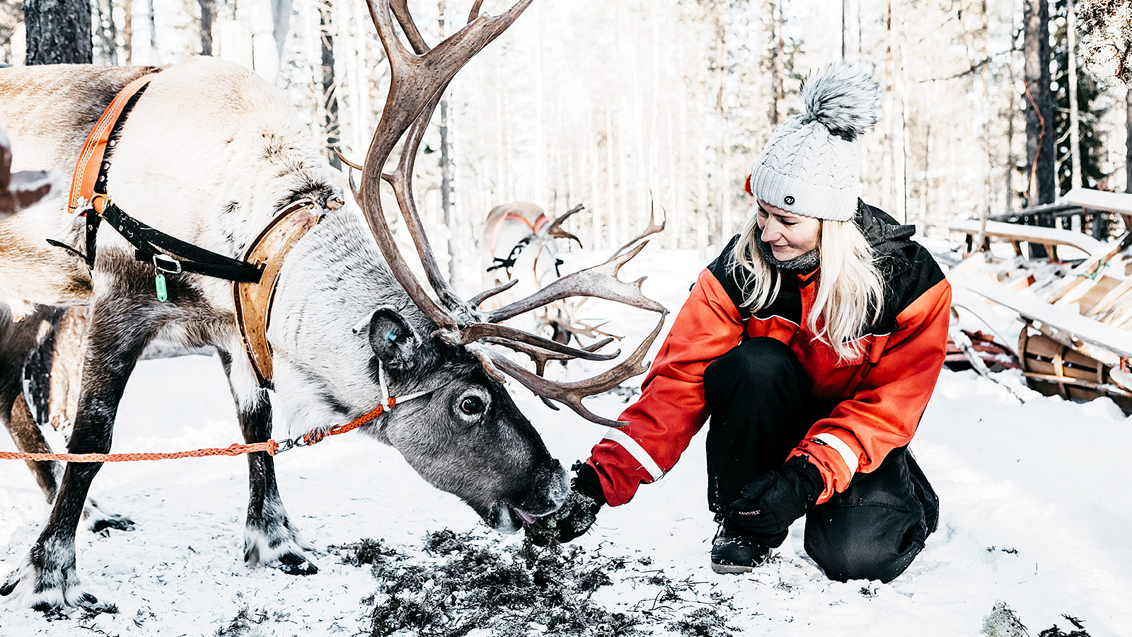 In Winters Lapland beleeft het hele gezin bijzondere momenten samen