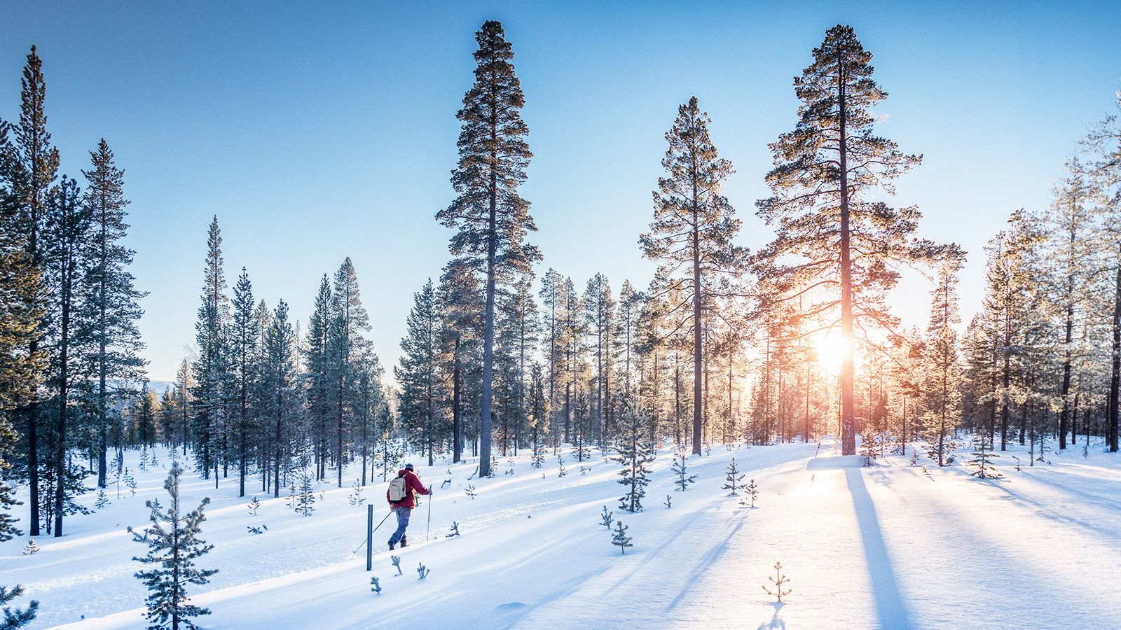 Lapland in de winter: waar sneeuw en avontuur samenkomen