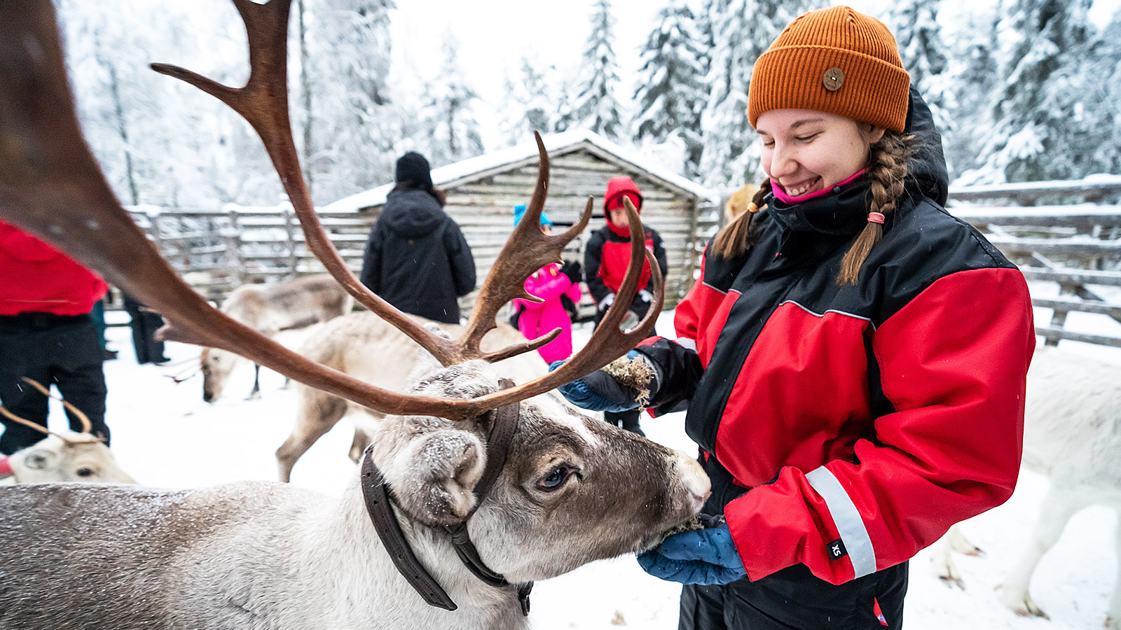 Tussen de besneeuwde bossen en rendieren ontdek je een authentieke kant van Lapland