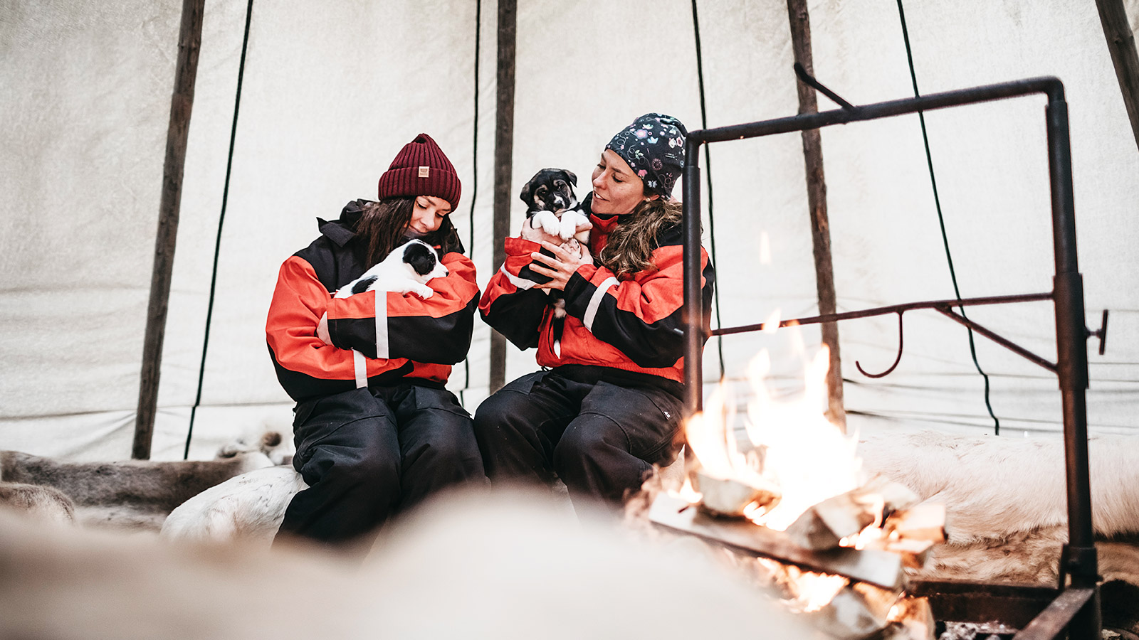 Een huskysafari is één van de populairste activiteiten in Lapland