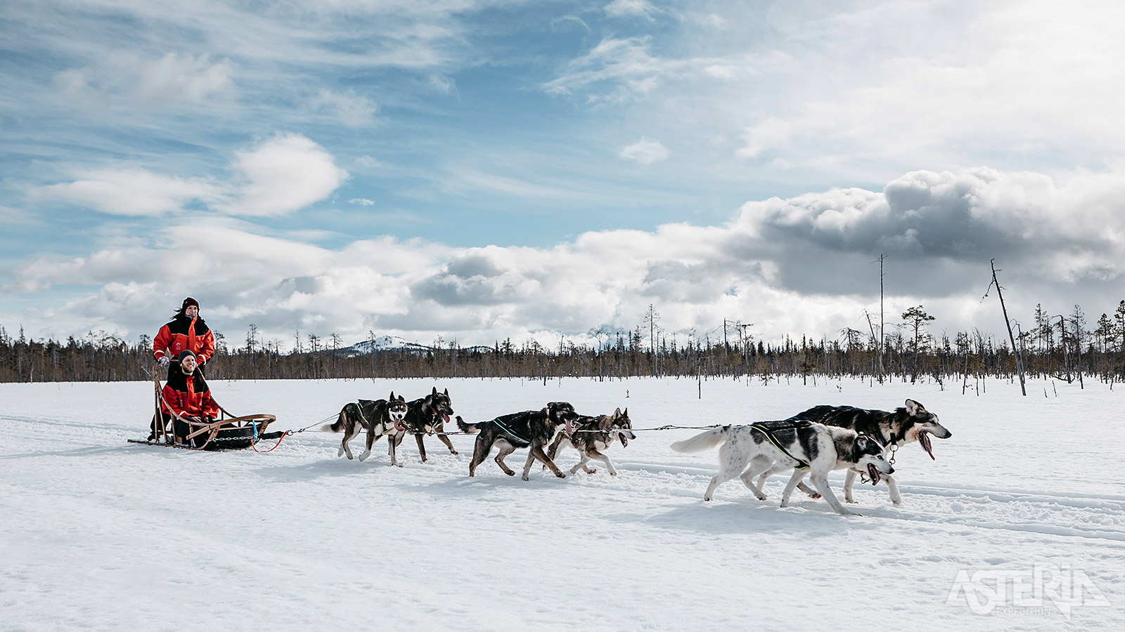 Trek de natuur in met de huskyslede getrokken door 6 honden