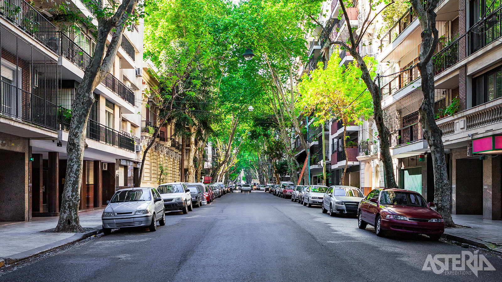 Wijken zoals Retiro, Recoleta en Palermo staan bekend om hun elegante lanen met statige herenhuizen en chique winkels