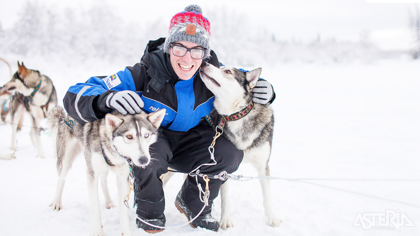 Maak kennis met de echte helden van de huskyboerderij