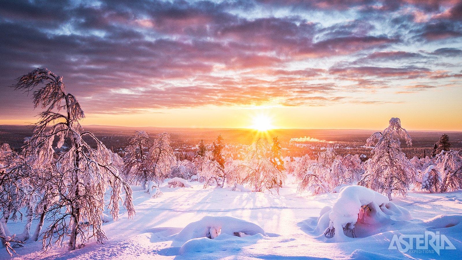 Lapland betovert zijn bezoekers met een ware winterwonderland-ervaring