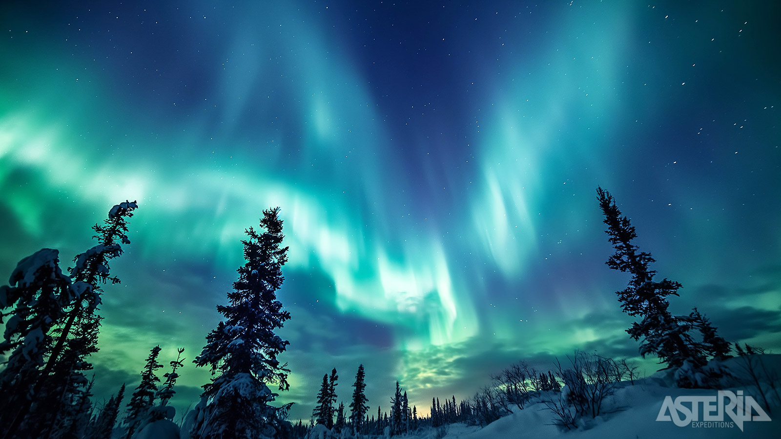 Het absolute hoogtepunt van elke Laplandreis is natuurlijk het waarnemen van het noorderlicht, een spectaculair lichtspel aan de nachtelijke hemel