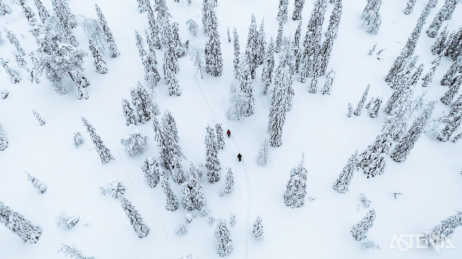 Sneeuwschoenwandelen in Lapland is een fantastische manier om de adembenemende winterse landschappen te verkennen