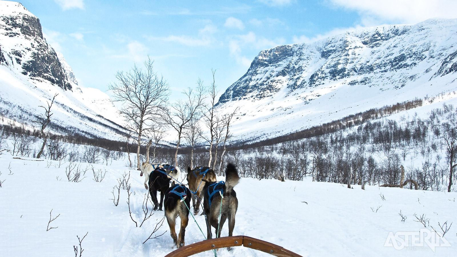 In Lyngen Alps maak je een onvergetelijke safari met de husky’s