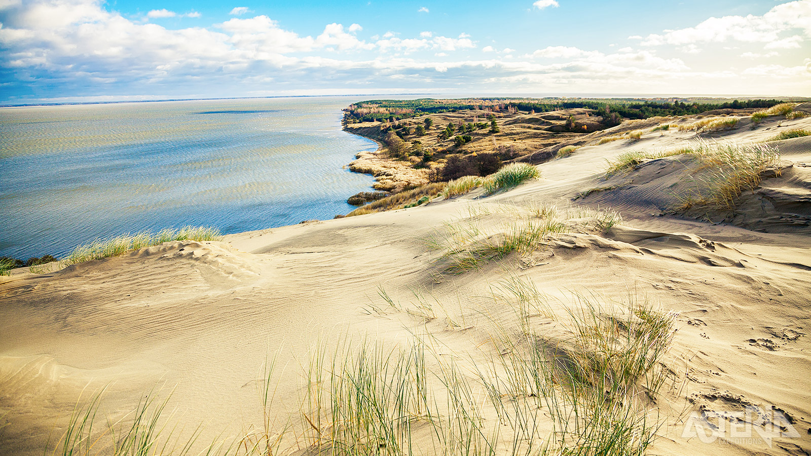 Curonian Spit Nationaal Park is een uniek natuurgebied en wordt soms de Litouwse Sahara genoemd vanwege de indrukwekkende zandduinen