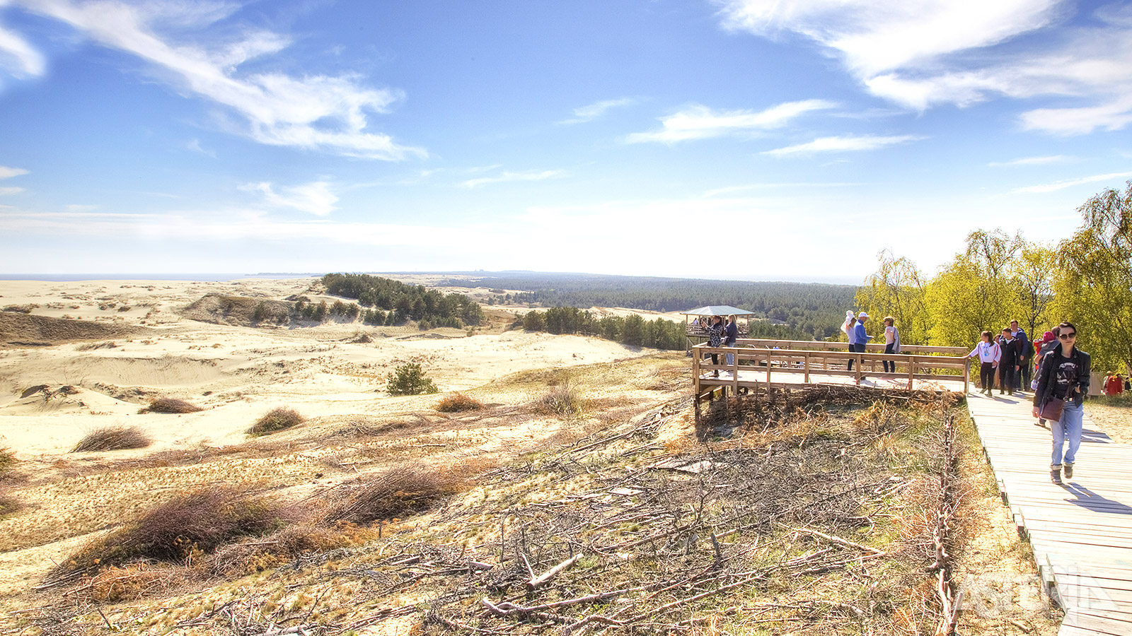 Curonian Spit Nationaal Park is een uniek natuurgebied en wordt soms de Litouwse Sahara genoemd vanwege de indrukwekkende zandduinen