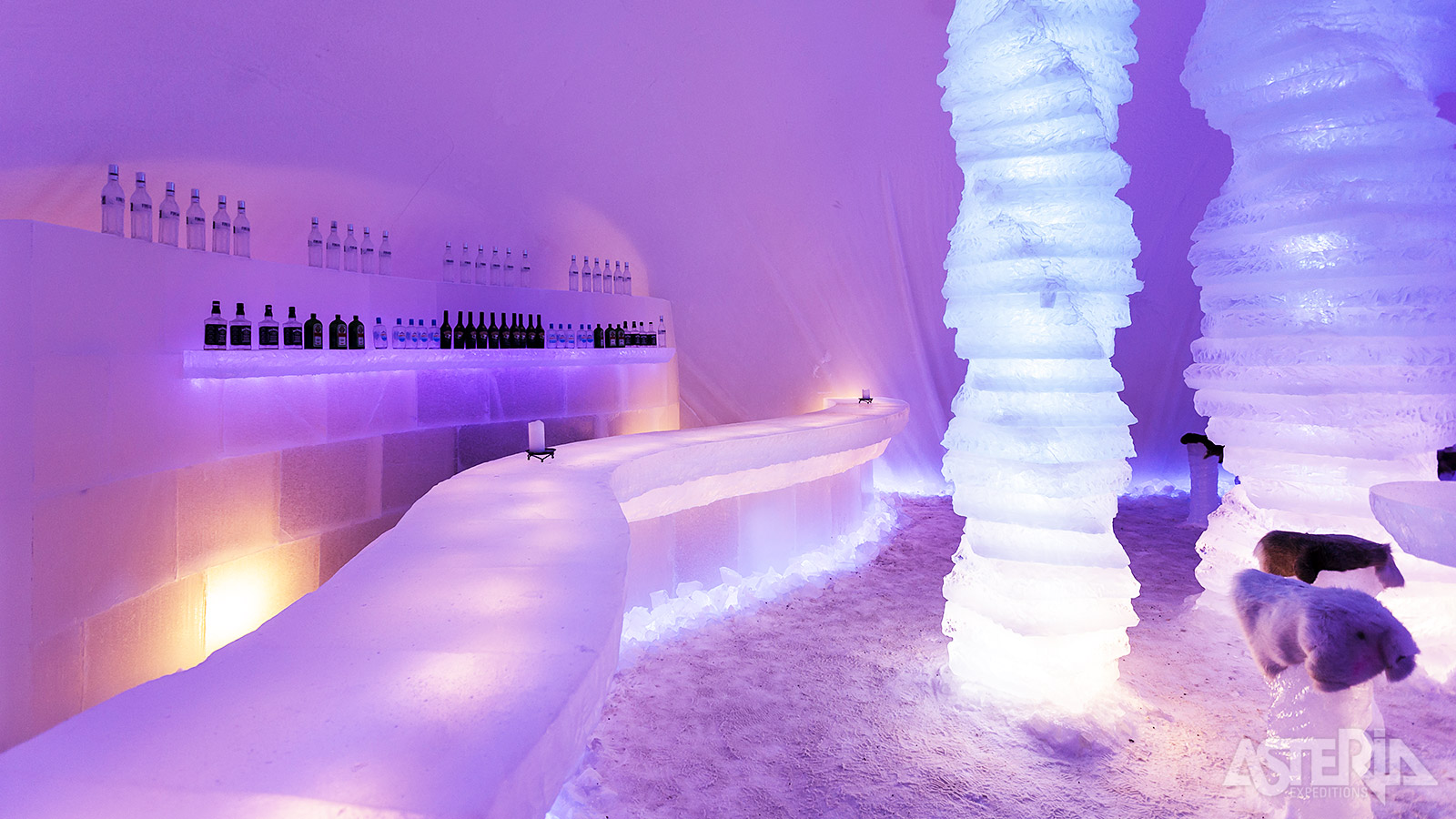 Kies voor een bezoek aan het Arctic Snowhotel met diner - Facultatief