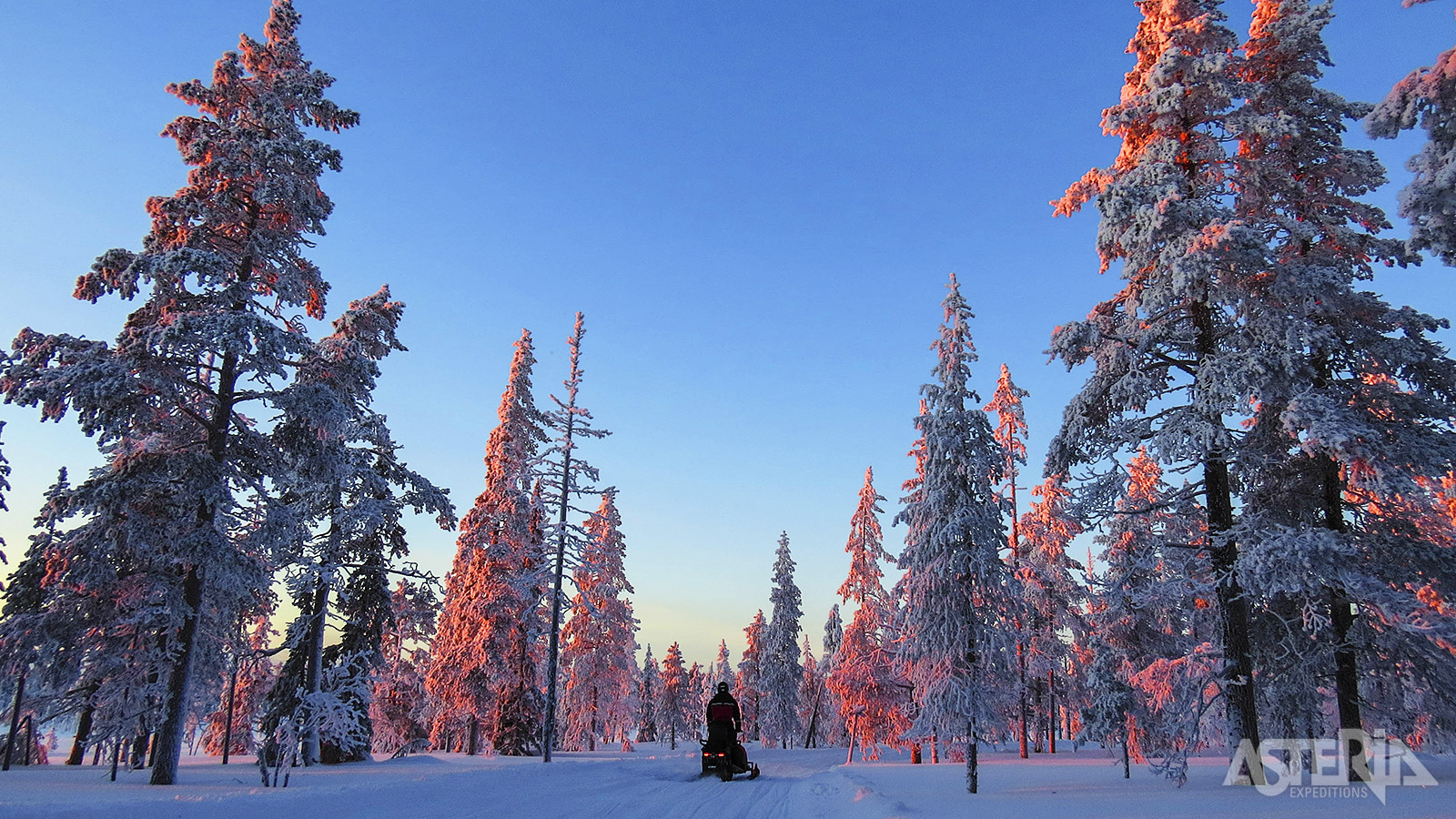 Noord-Finland is één van de weinige plaatsen op aarde waar de natuur nog niet is aangetast