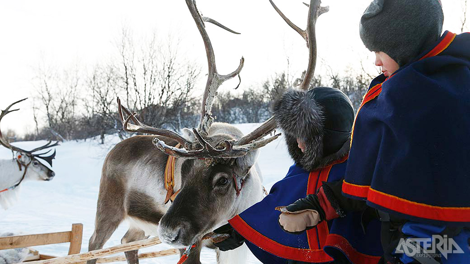 Bezoek een rendierboerderij, gerund door een Sámi-familie die al generaties lang in dit gebied woont