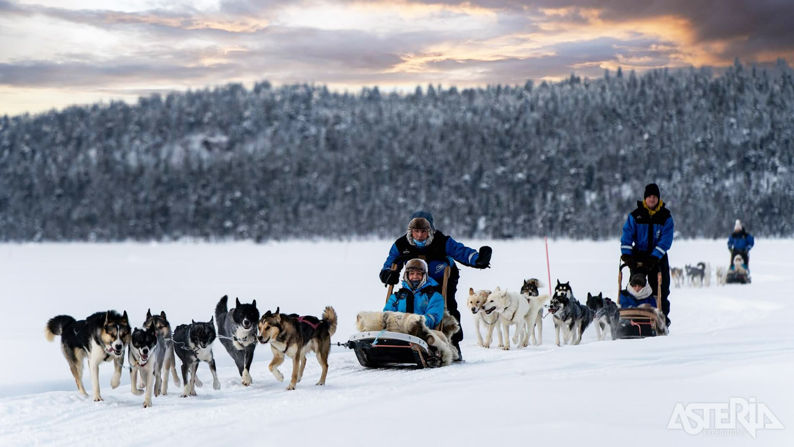 Na een korte uitleg vertrek je op een huskysafari door het besneeuwde landschappen, over hoogvlaktes of door de vallei
