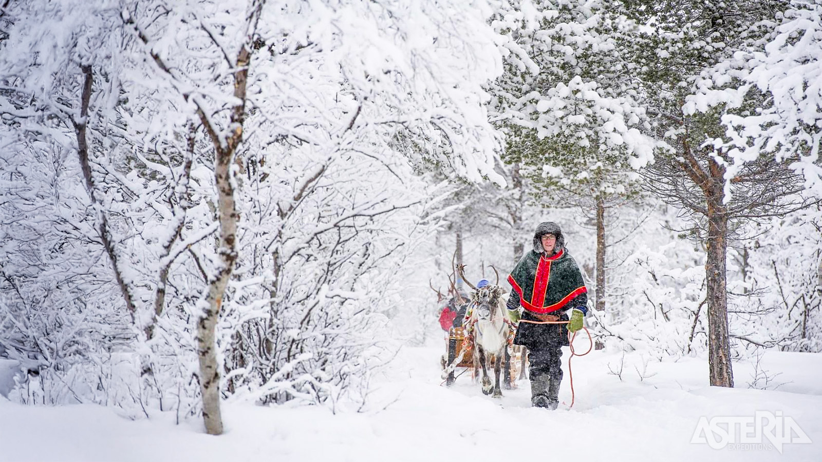 Tijdens een bezoek aan een rendierboerderij krijg je meer inzicht in het leven van deze dieren