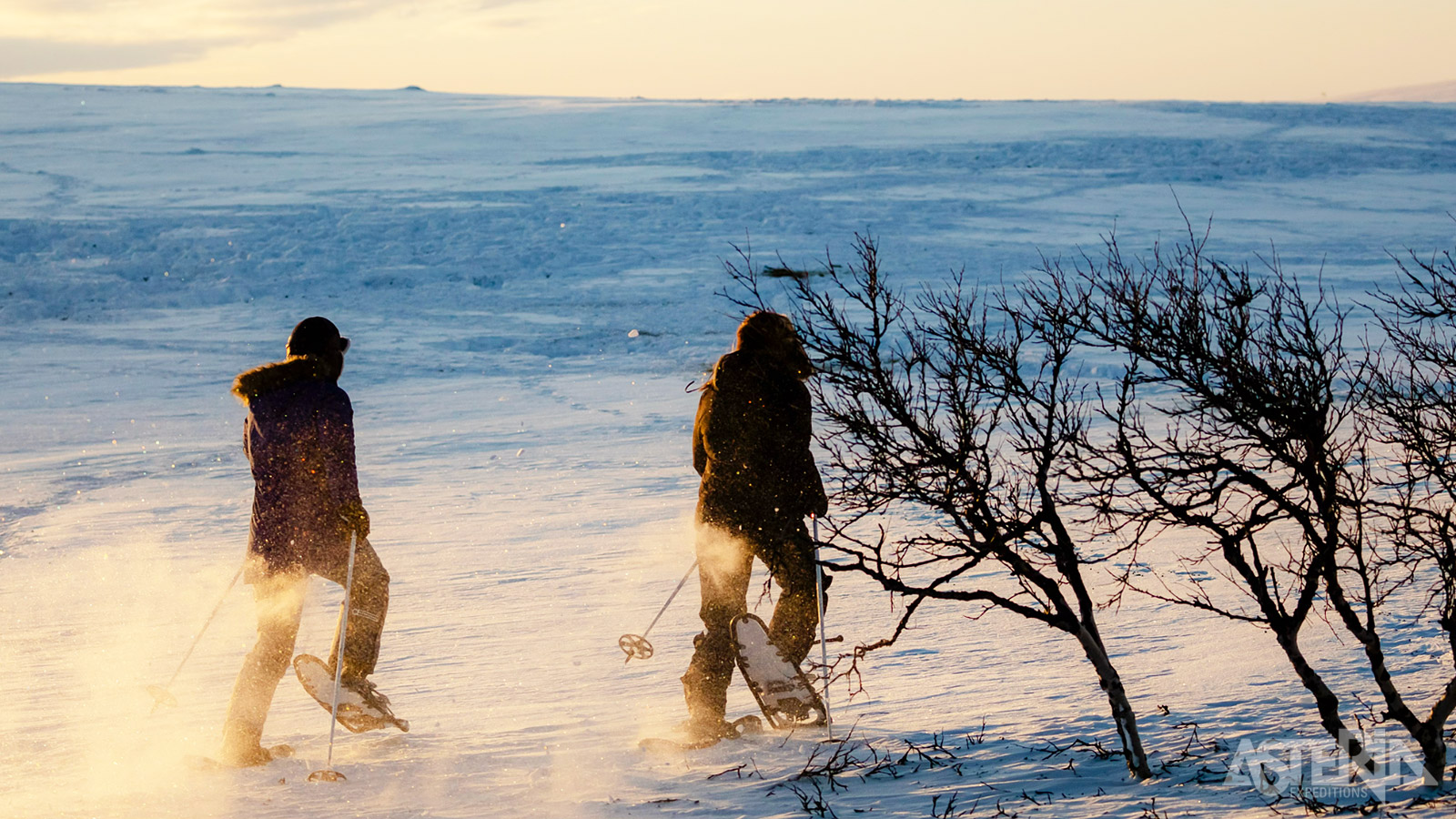 Een wandeling met sneeuwschoenen neemt je mee langs glooiende vlaktes en besneeuwde bossen