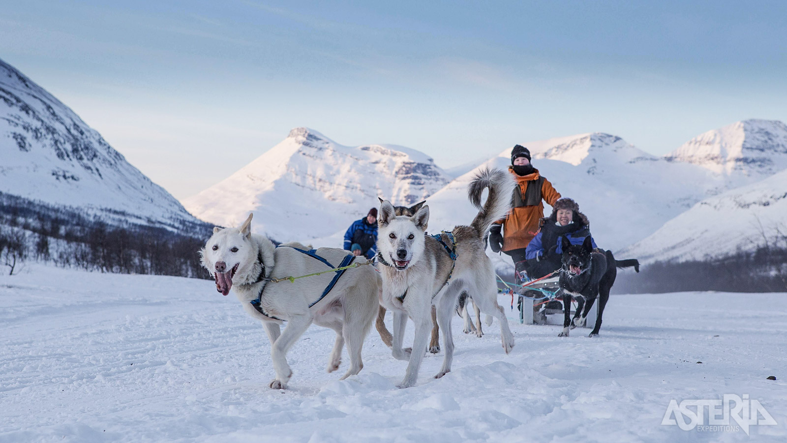Of kies voor een huskytocht in de prachtige Lyngen Alps