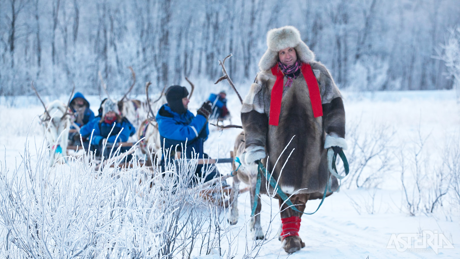 Maak kennis met de oudste vorm van transport in Lapland tijdens een tocht met de rendierslede