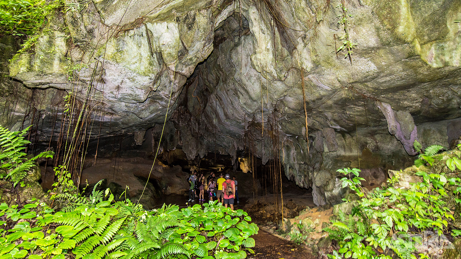 De stalactieten en stalagmieten van Lang’s Cave behoren tot de mooiste van het Mulu Nationaal Park