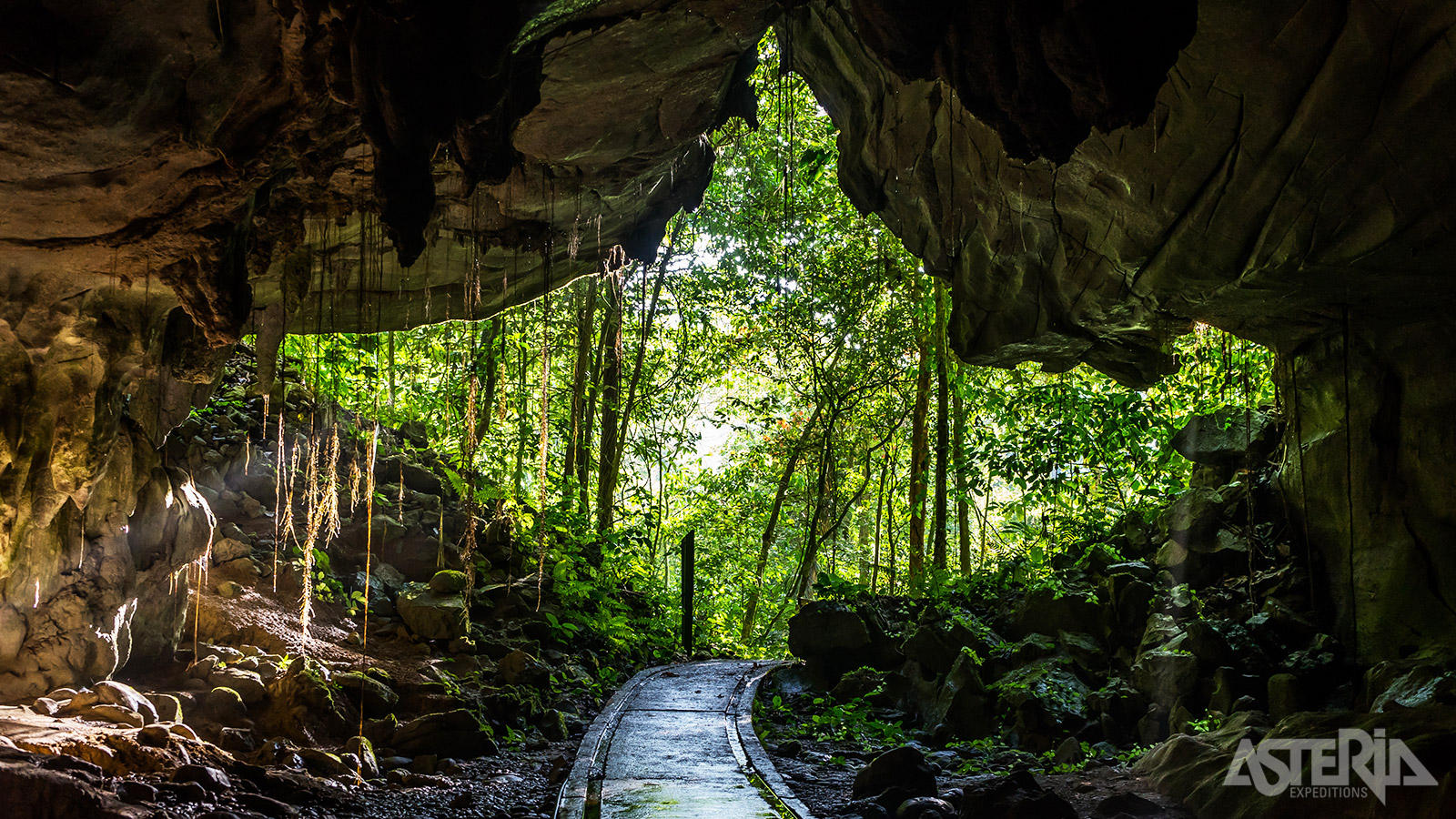 Lang’s Cave is de kleinste maar misschien wel de mooiste showgrot in Gunung Mulu