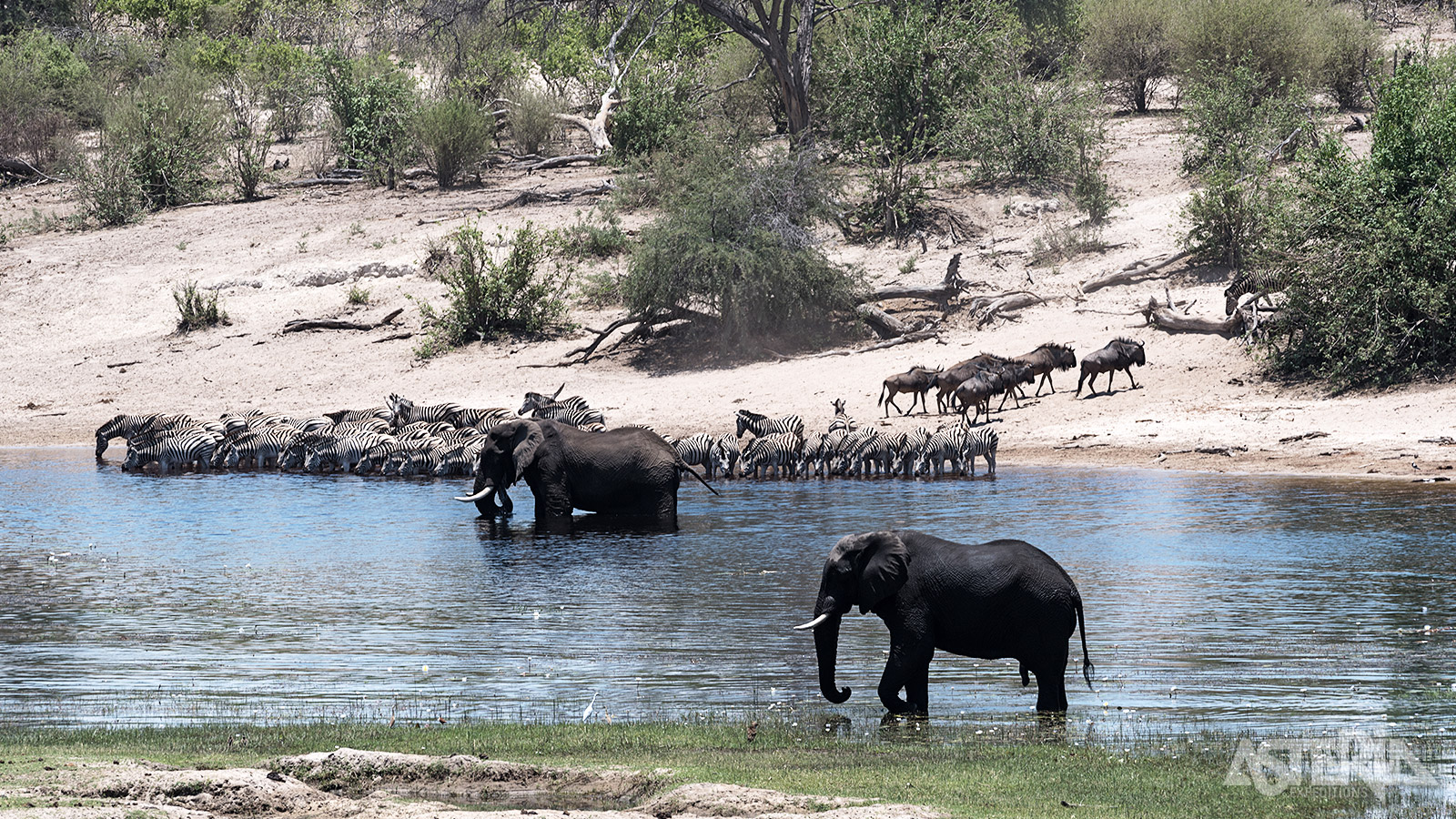 De Makgadikgadi Pan is een enorme zoutpan in het Noordoosten van Botswana