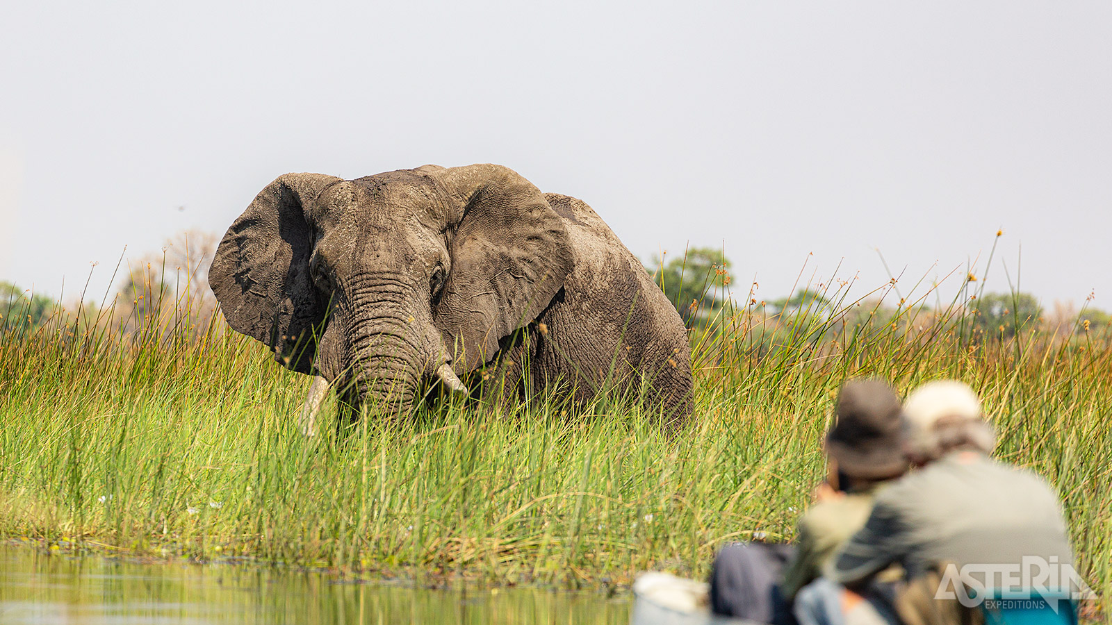 De Okavango delta is een waterrijk gebied met een grote diversiteit aan fauna en flora