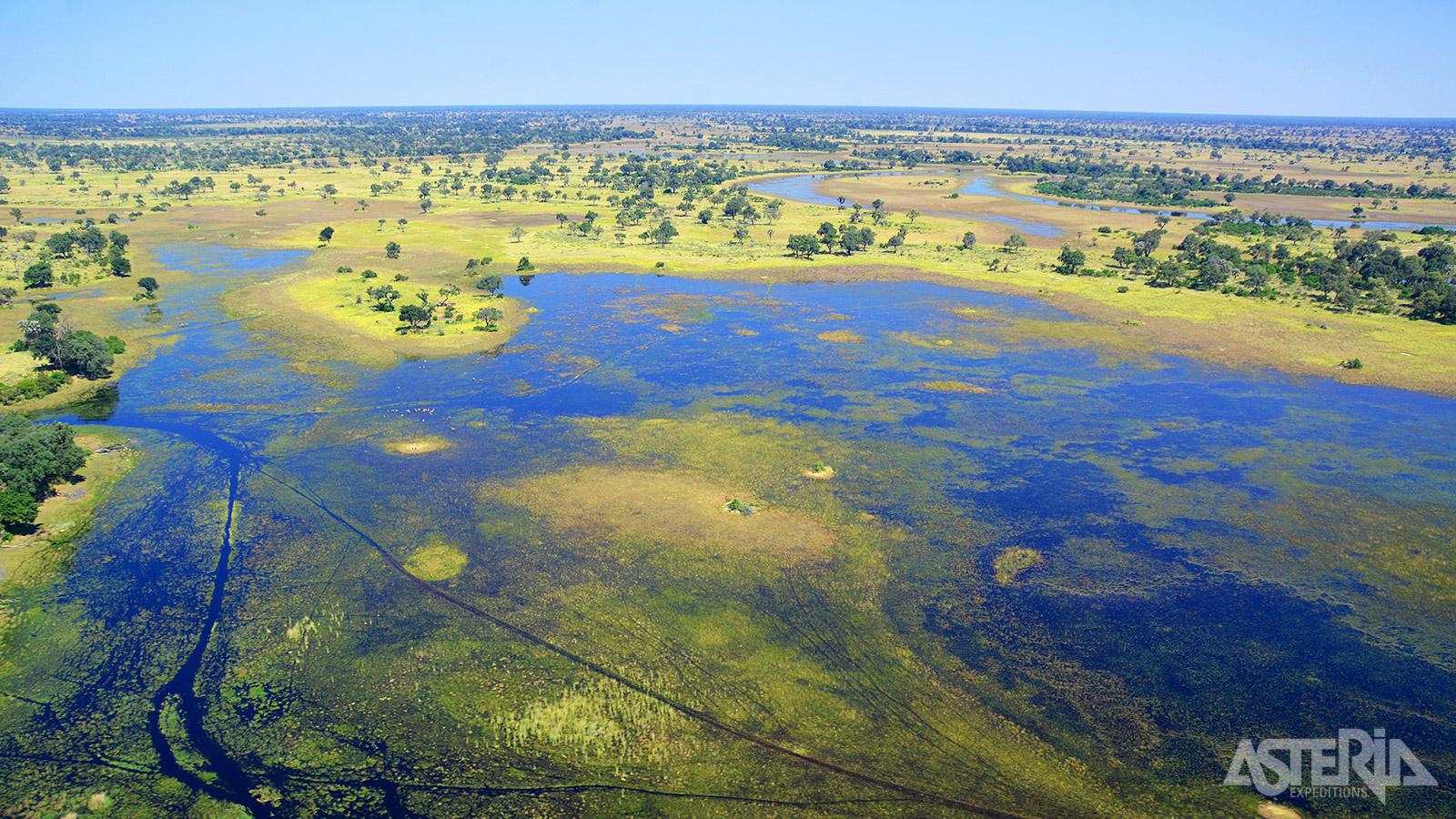 Van alle natuurgebieden op het Afrikaanse continent is de Okavango Delta landschappelijk één van de mooiste