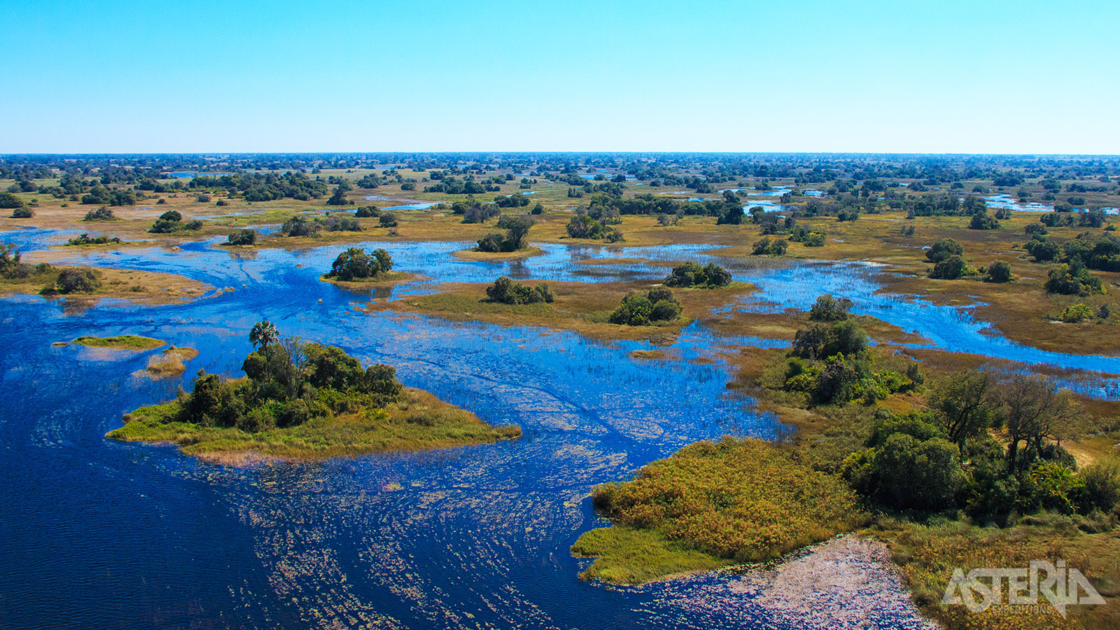 Door de combinatie van moeraslanden, grasvlakten, rivieren en bosjes is de Okavango Delta een paradijs voor tal van dier- en vogelsoorten