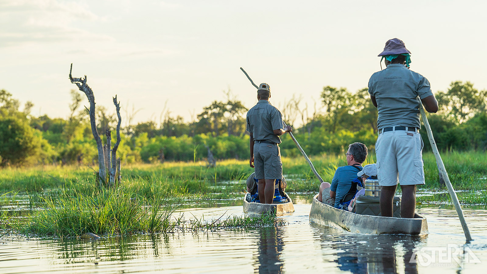 Verken de waterrijke Okavango Delta met een traditionele kano of mokoro