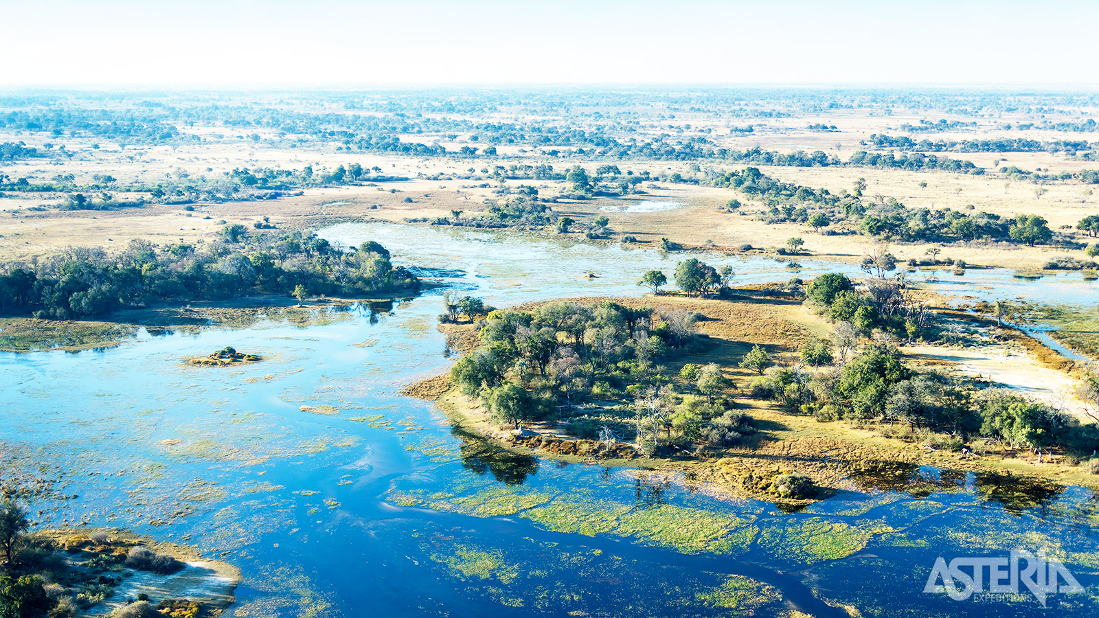 Okavango Delta is één van de grootste binnendelta’s ter wereld met een oppervlakte van zo’n 20.000km²