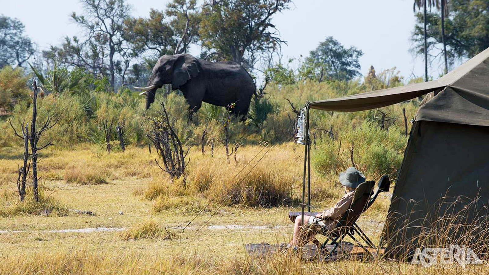 Een tentsafari is één van de meest authentieke manieren om de ongerepte natuur van Botswana te beleven