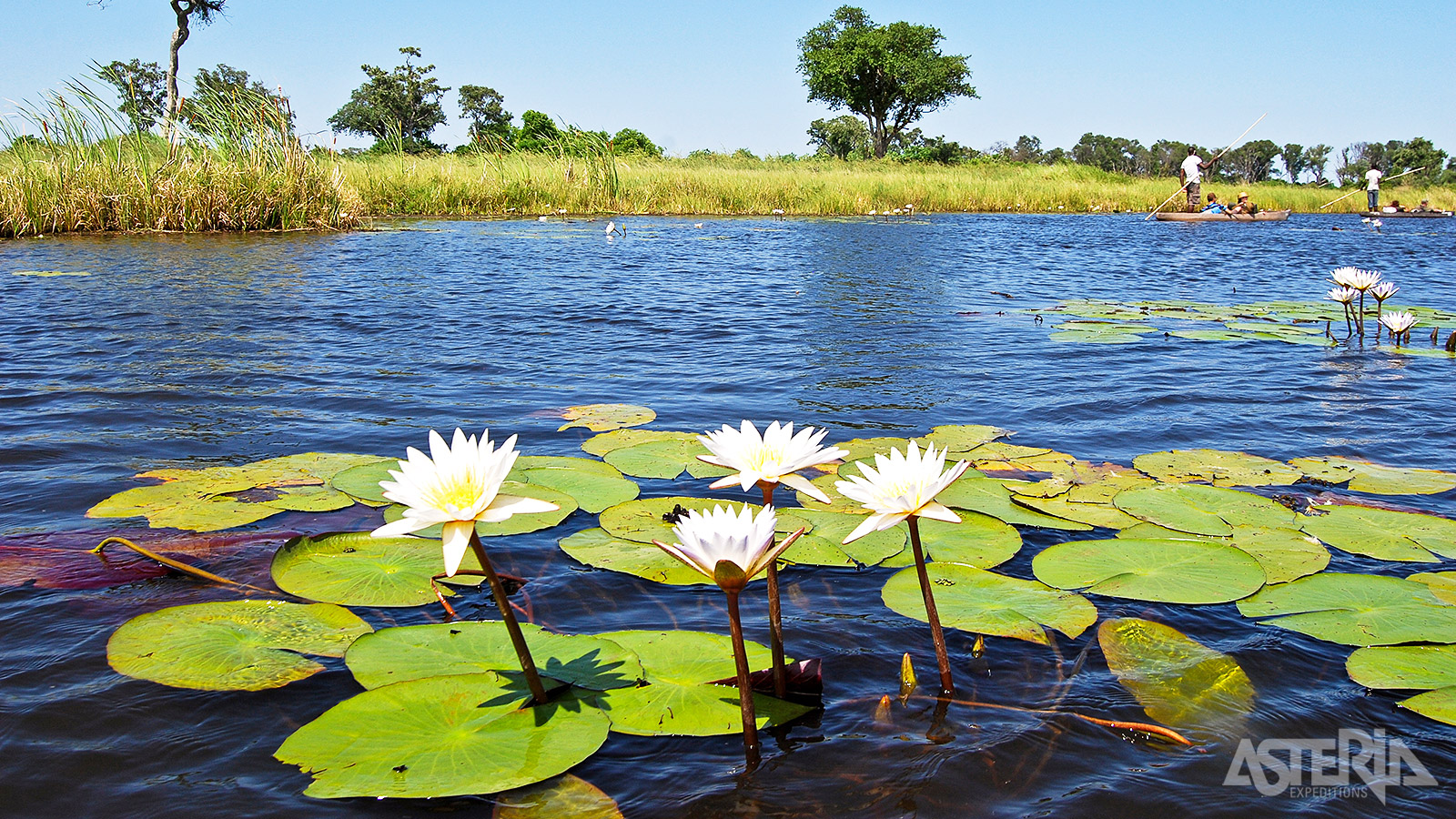 De Okavango Delta is een rijk moerasgebied dat wordt gevoed door de gelijknamige rivier