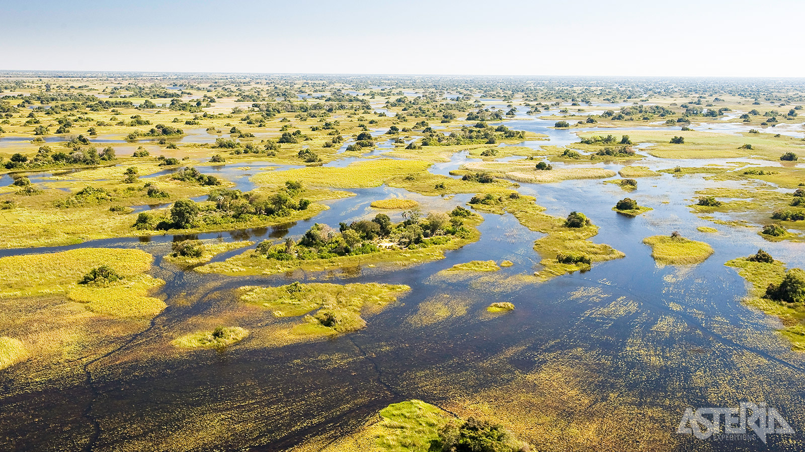 De Okavango Delta is de grootste inlandse delta ter wereld