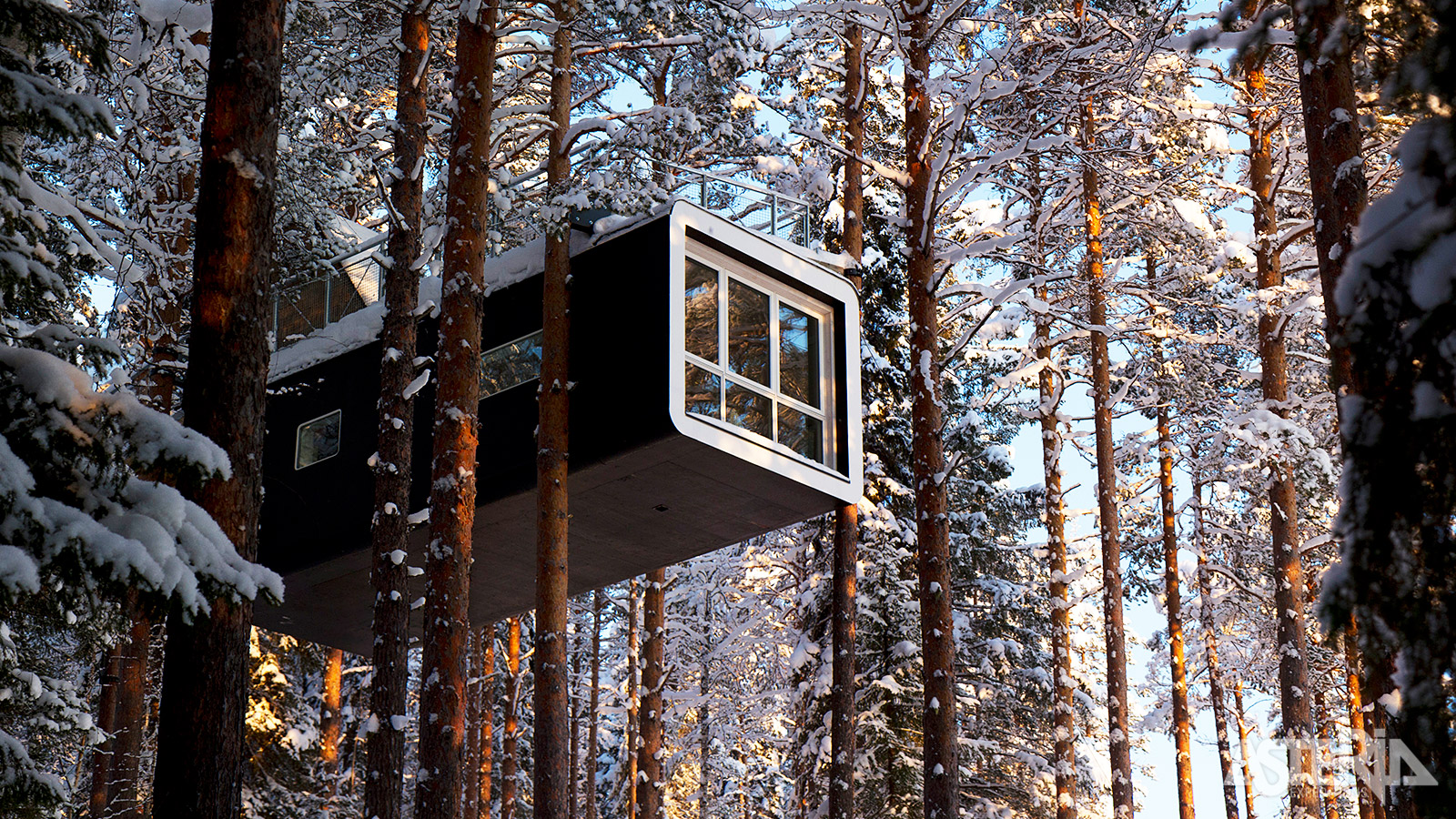 Optioneel kan je het programma verlengen met een overnachting in een originele boomhut van het Treehotel
